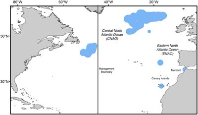 Wide-Ranging Temporal Variation in Transoceanic Movement and Population Mixing of Bluefin Tuna in the North Atlantic Ocean